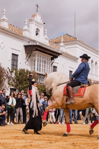 Espectáculo ecuestre flamenco celebrado en Cortijo El Esparragal (Gerena, Sevilla).