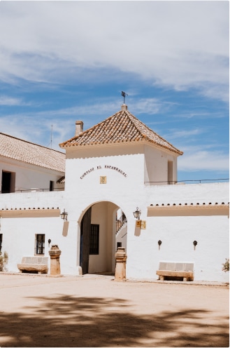 Servicios para bodas - Alojamiento. Puerta de acceso principal de Cortijo El Esparragal (Gerena, Sevilla).